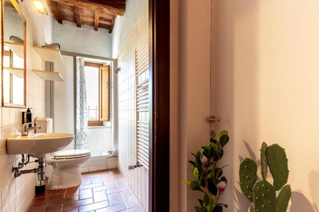 Massa Alta B&B E Appartamenti Massa Marittima Ngoại thất bức ảnh